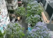 多城取消限售政策：激活市场流动性，楼市调控转向“促流动”