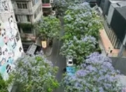 多城取消限售政策：激活市场流动性，楼市调控转向“促流动”