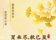 夏秋交替养生指南：三招助你平稳过渡