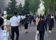 新挑战！高校裁撤20%专业后，教师面临转岗潮
