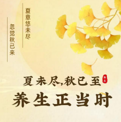 50819102206.png